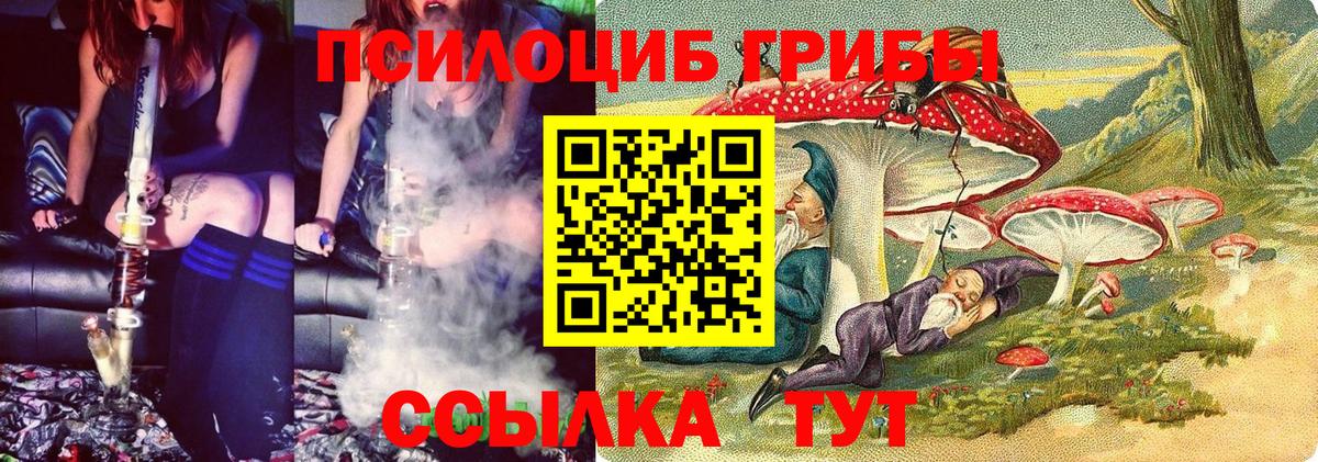 Скопин  где купить наркоту  Вход с VPN  Псилоцибиновые грибы ЛСД 